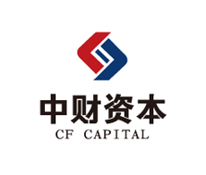 中财资本logo设计